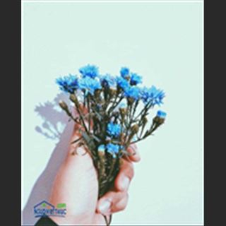 Người tìm việc